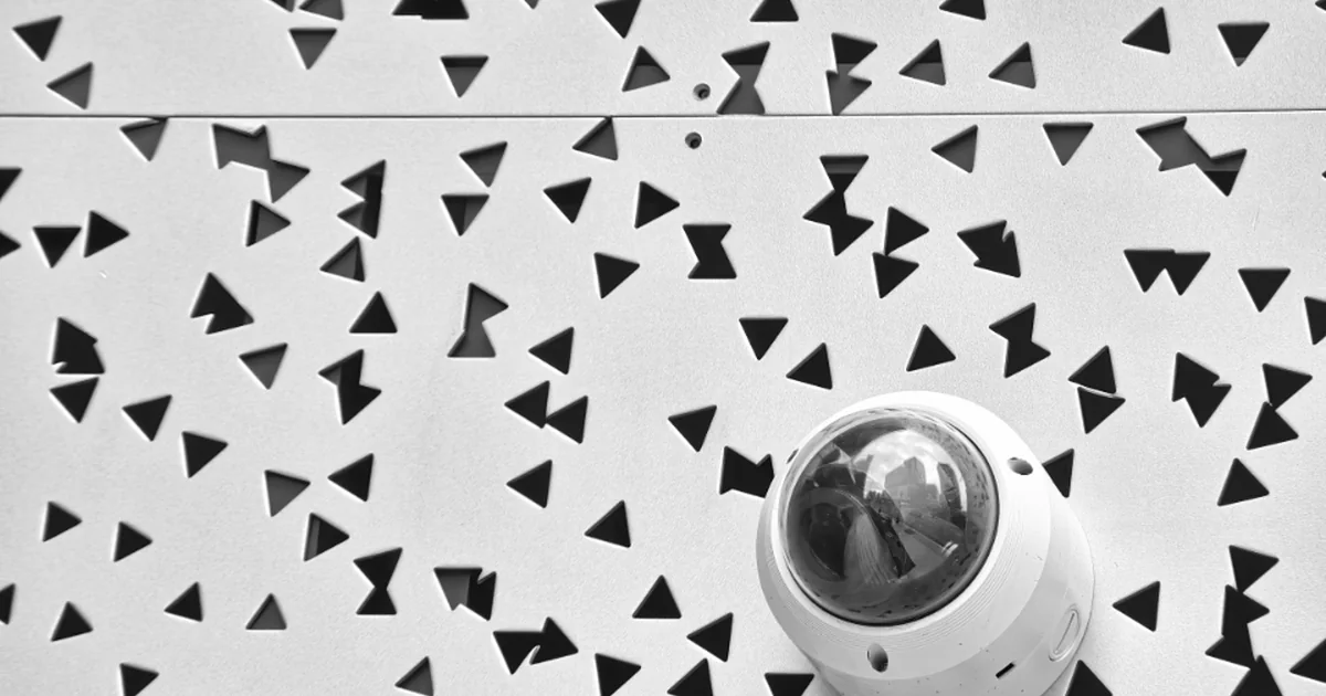 Visual guide for Privacy-first software: the practical principles behind Ornova Labs